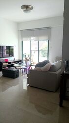 Fifth Avenue Condominium (D10), Condominium #589735251